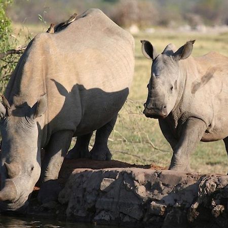 Jamala Madikwe Royal Safari Lodge Mochudi Buitenkant foto
